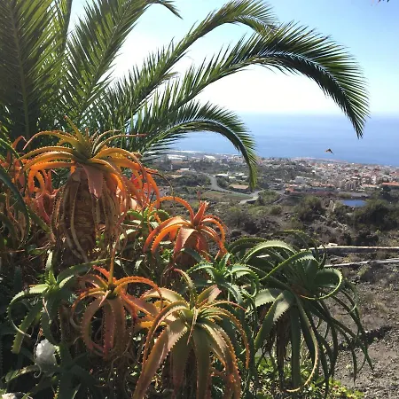 Rosamar Apartment Los Cristianos (Tenerife)